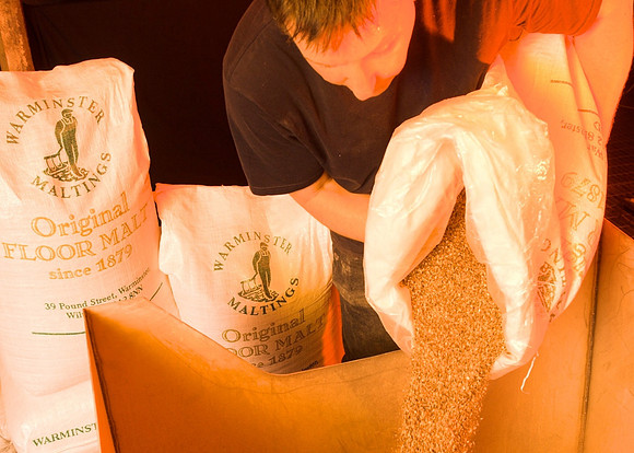 Brewer mixing barley & hop  into the mash tun to begin the brewing process.