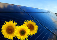 Promtional Image for Green Eco Solutions.