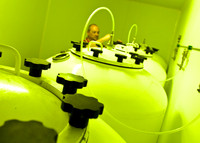 Brewery beer conditioning tanks.
