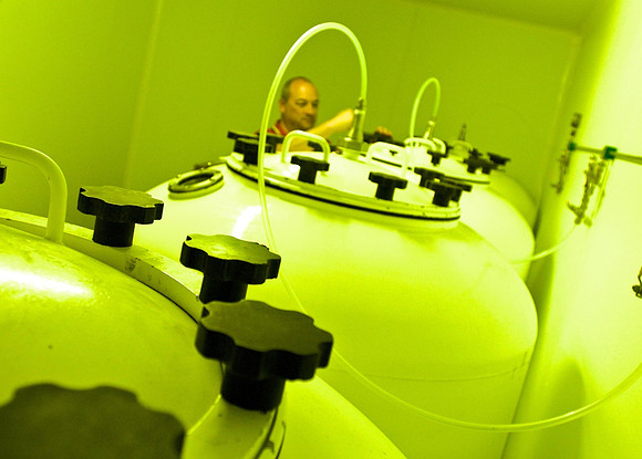 Brewery beer conditioning tanks.