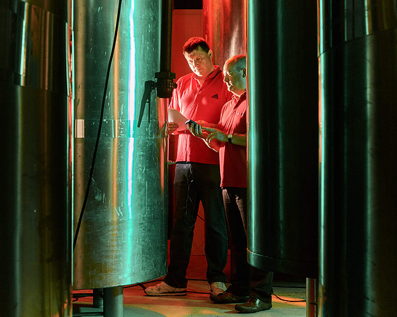 Vale of Glamorgan brewery production photo.
